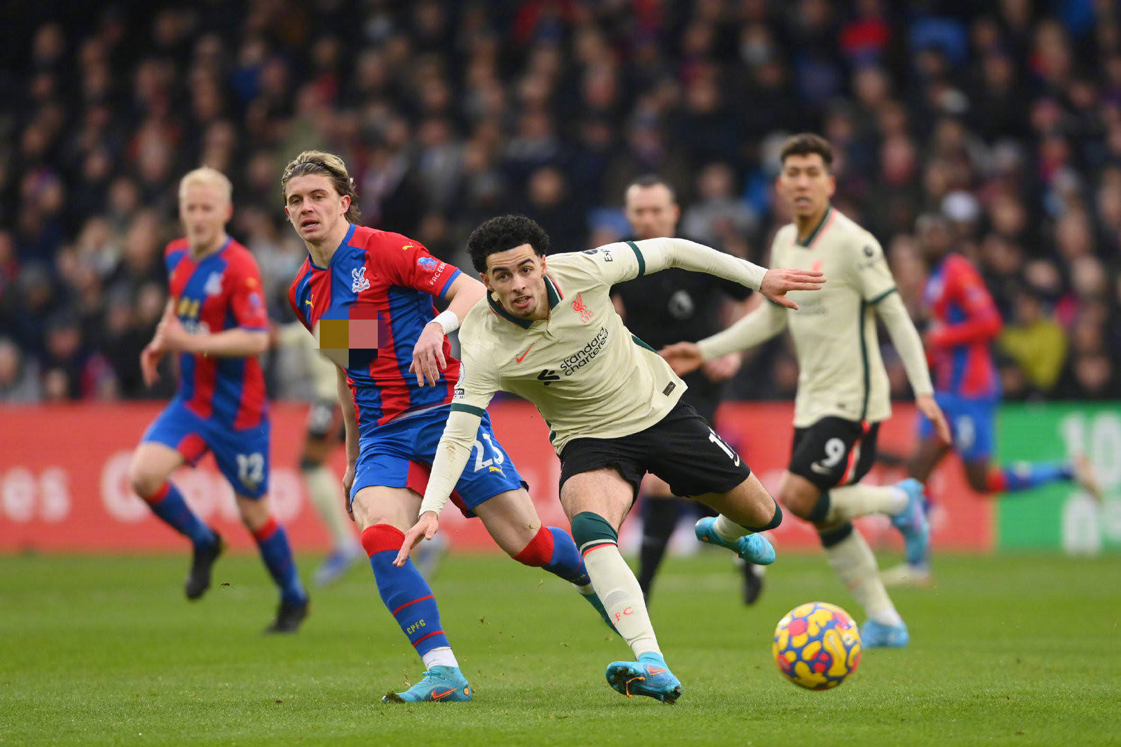 尖的蜕变 尖的蜕变